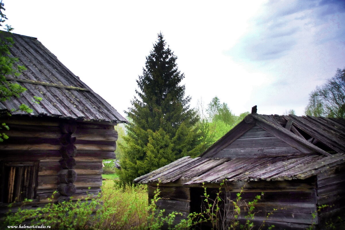 Северная деревня Уйта. - Игорь Корф
