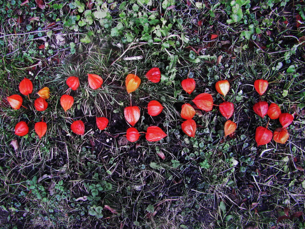 Осень - Людмила Смородинская