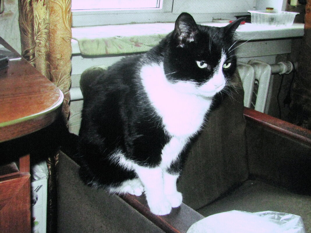 Задумался - Людмила Смородинская