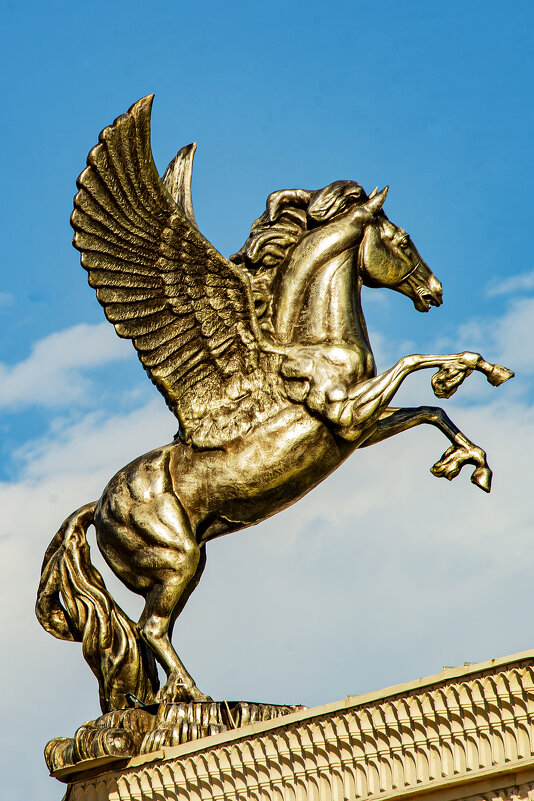 Пегас - Анатолий Чикчирный