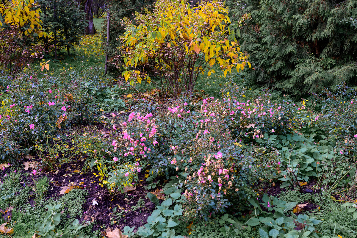 *** - Валерий Пославский