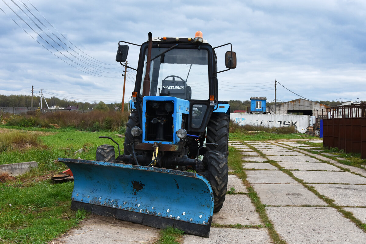 Московская область. Серпухов. Ферма «Русский страус». - Наташа *****