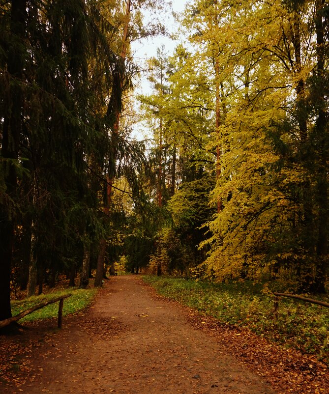 По тропинкам осени - Nataly St. 