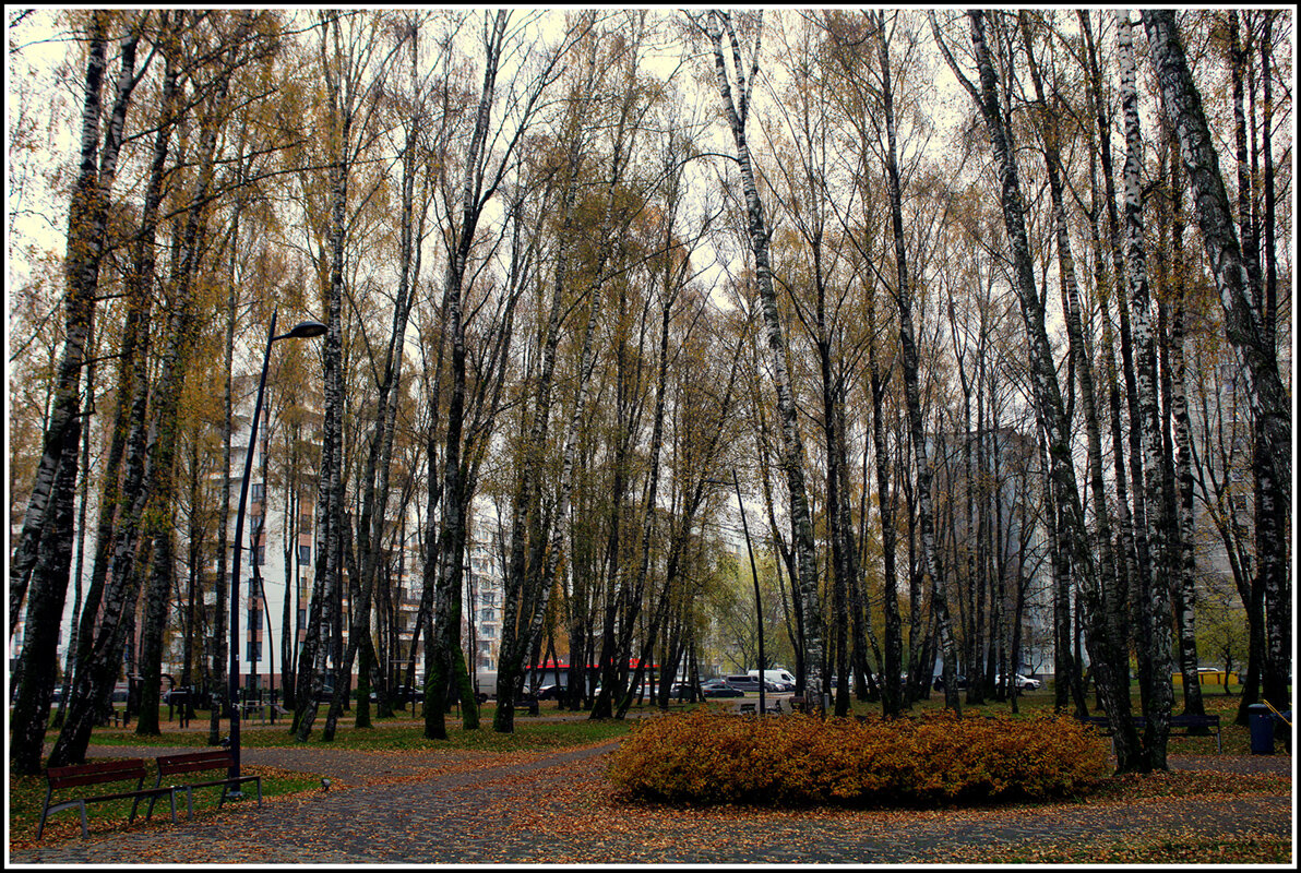Осень пришла в парк.. - Aleksandr Gal