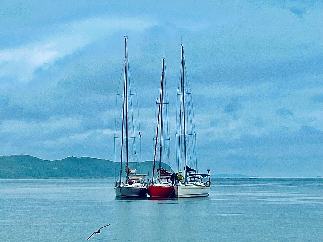 Море - Елена Семигина Море - Елена Семигина