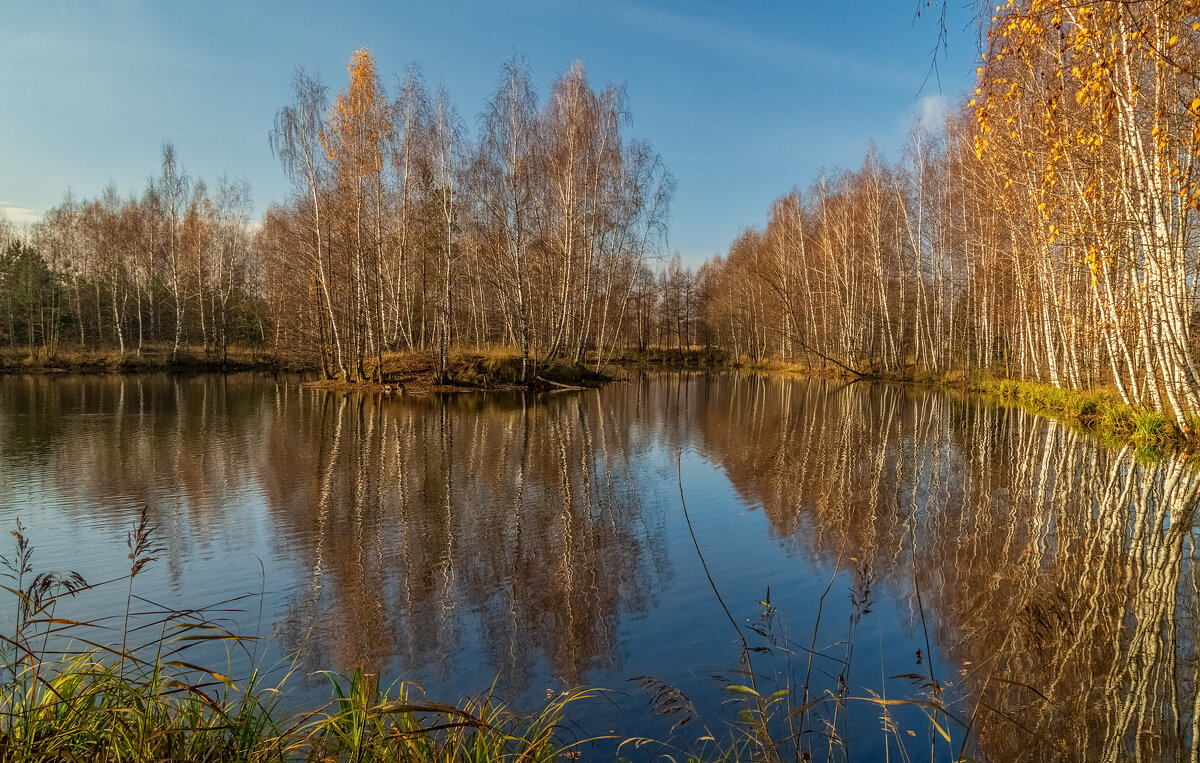 Осень не сдаётся 4 - Андрей Дворников