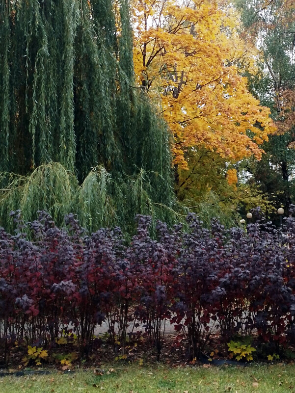 *** - Валентина Береснева
