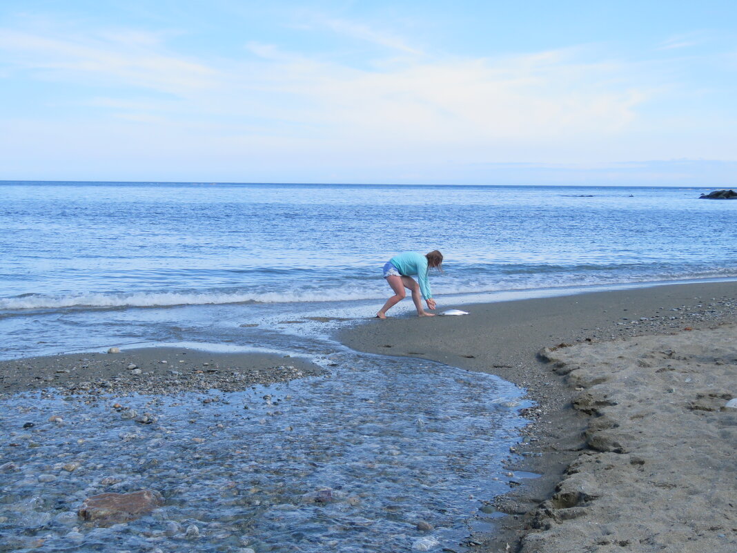 4. Рыбка выпрыгнула на берег.. - ИРЭН@ .