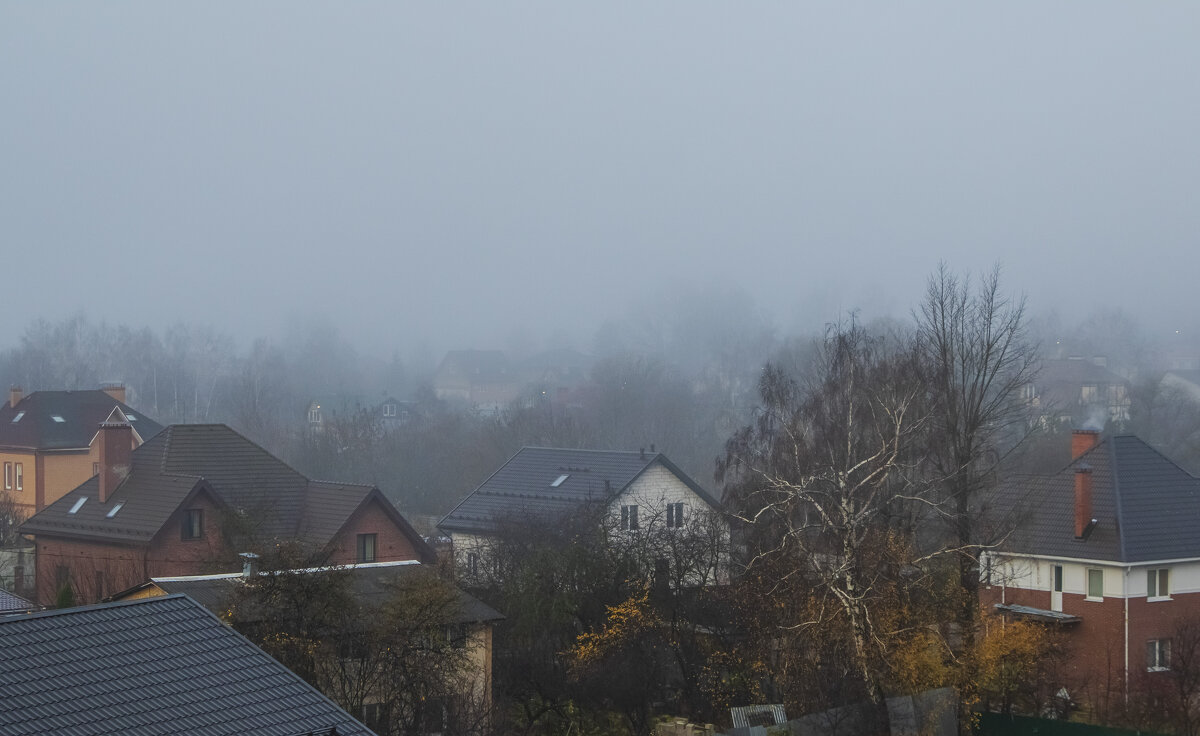 Ноябрь,туман рассеивается. - Петр Беляков Ноябрь,туман рассеивается. - Петр Беляков