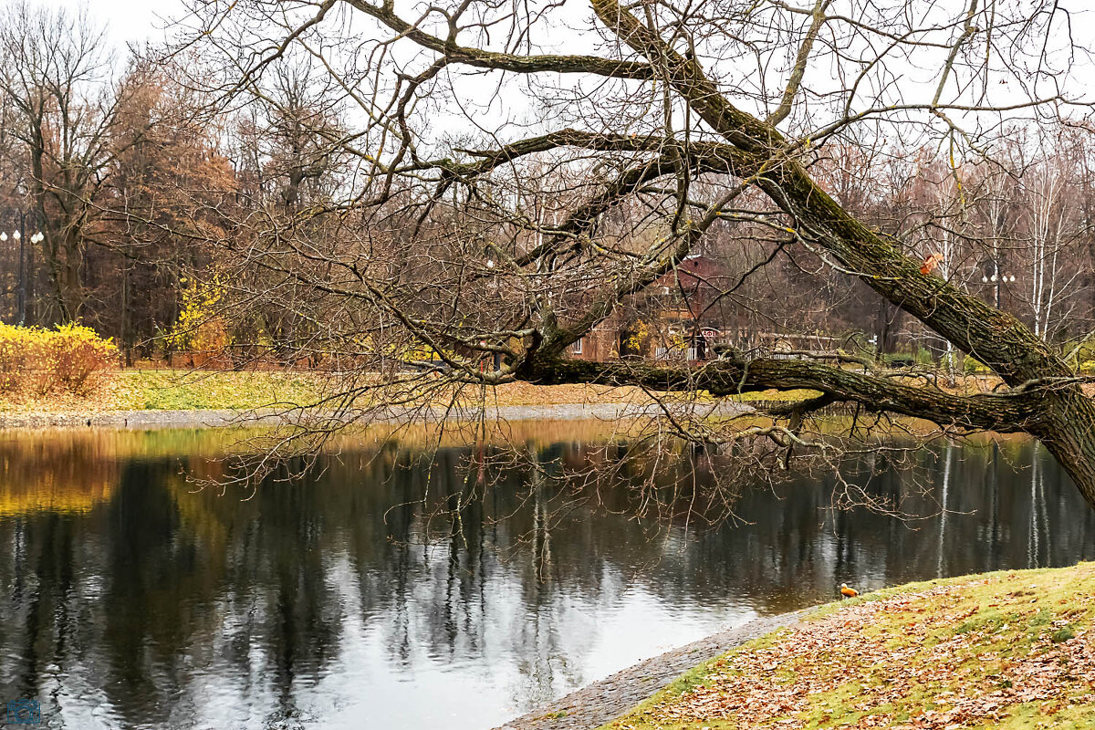 На берегу - Александр 