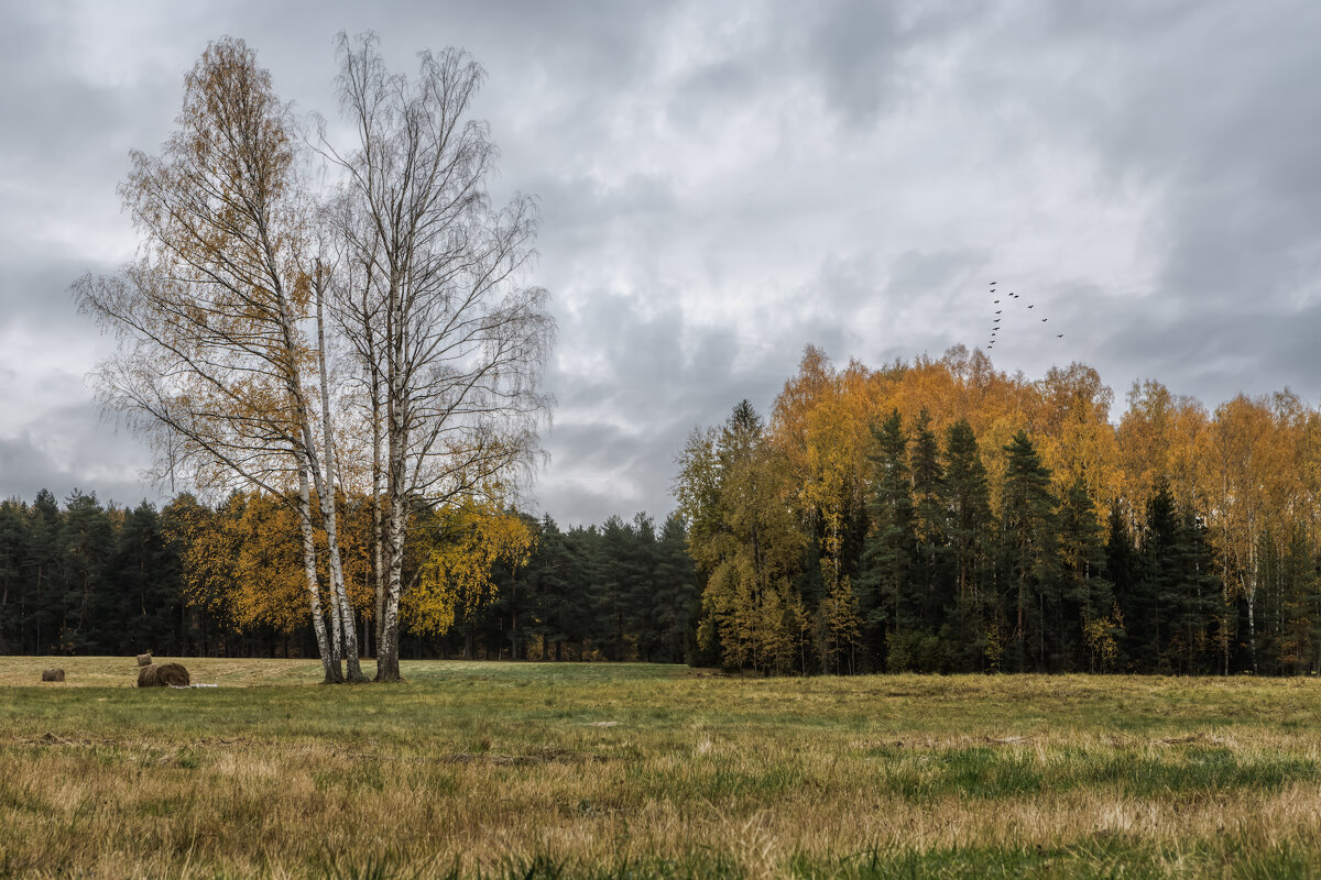 Осень. Утро - Владимир Колесников