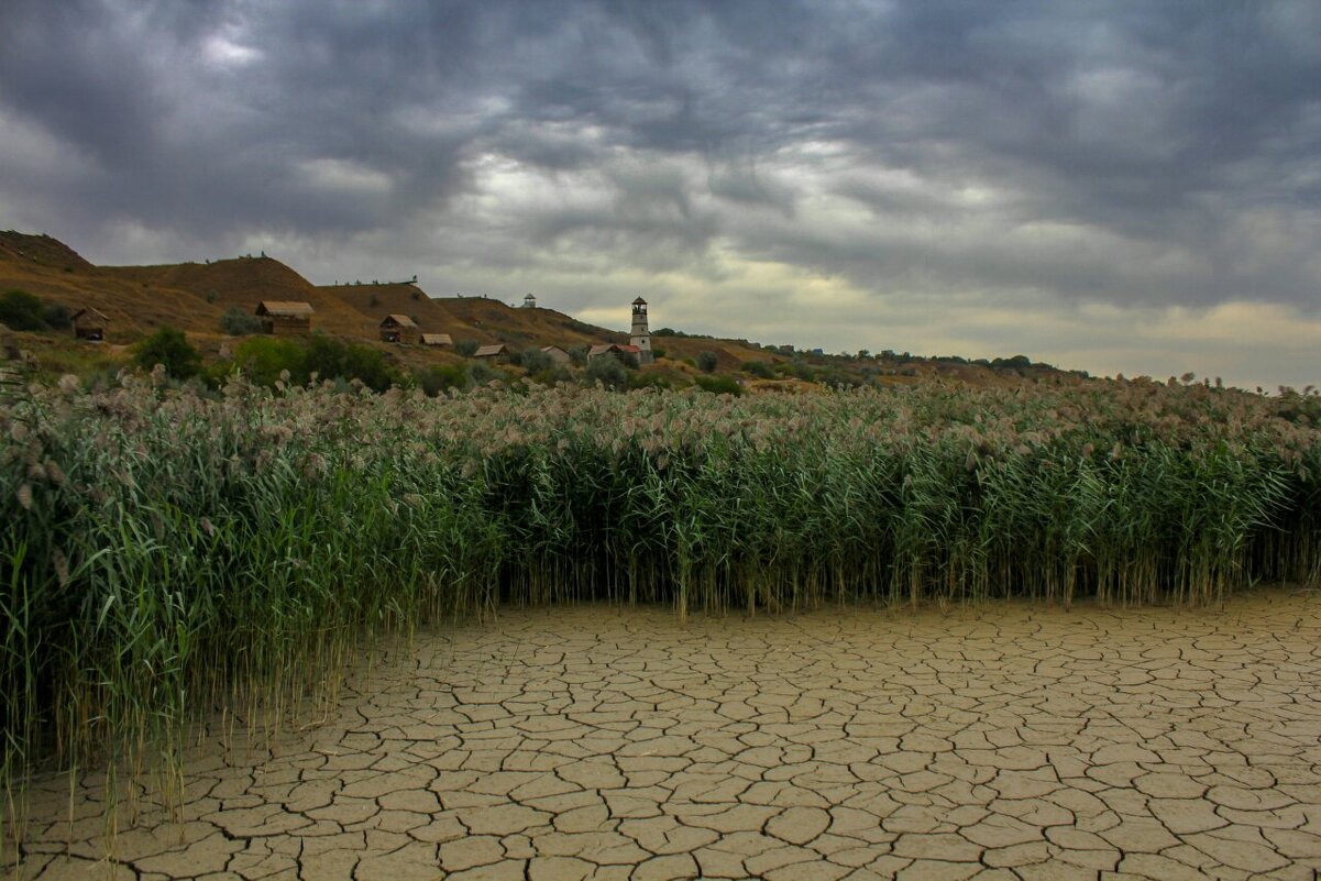 Около маяка - Оксана Новик 