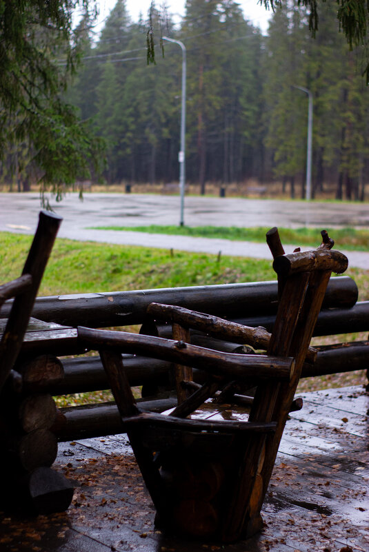 В дождливый день - Светлана Мишенёва