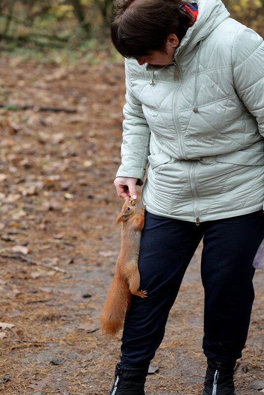 Правильные штаны. - Александр Кондаков