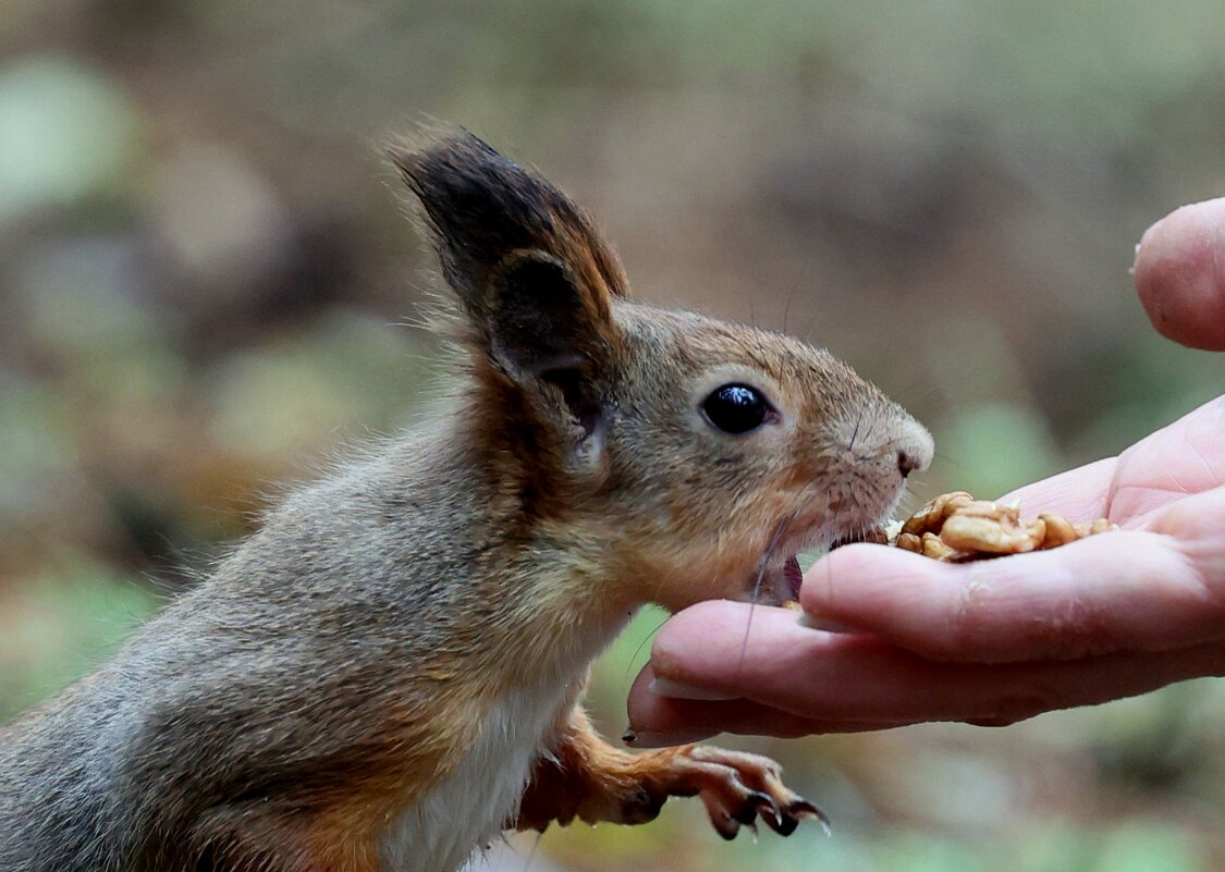 Да побольше... - Александр Кондаков