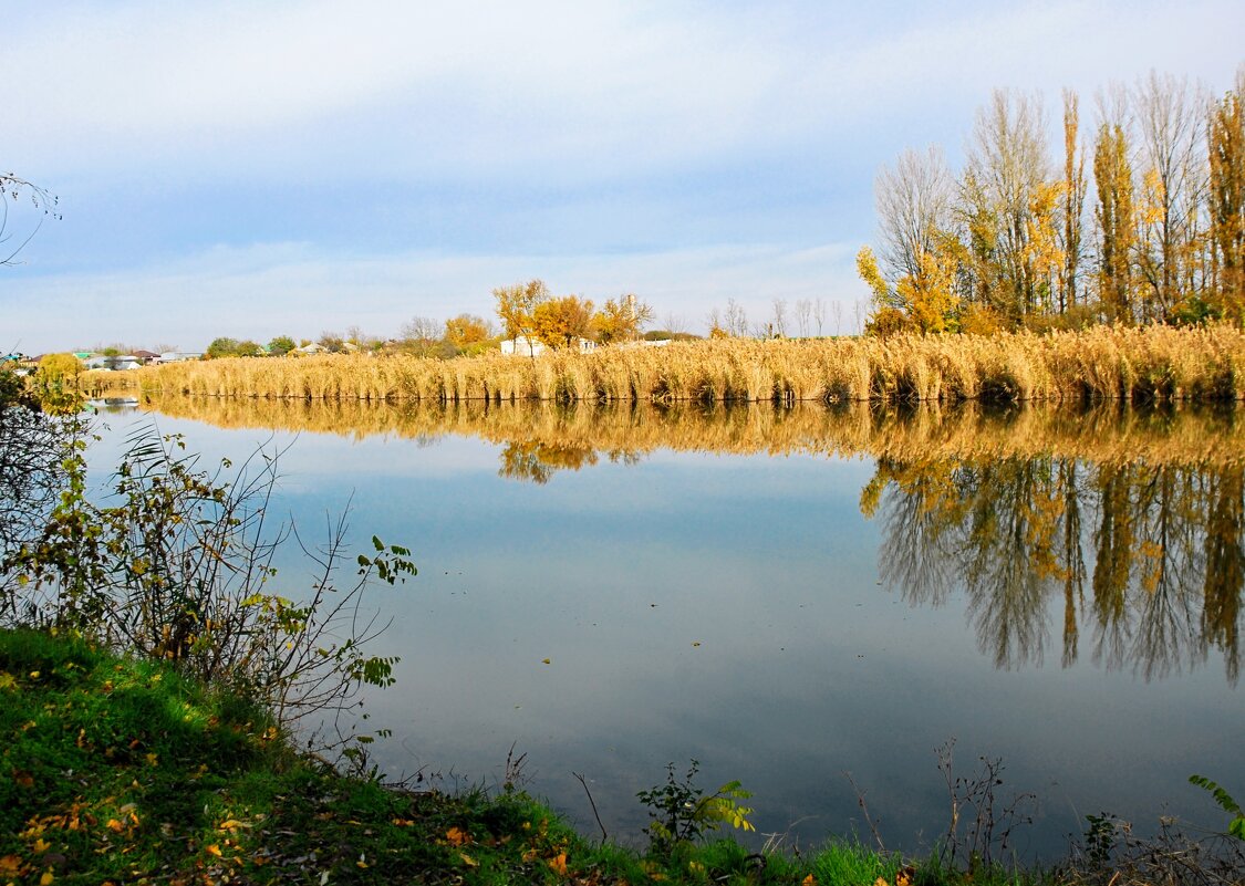 Ноябрь. - Владимир 