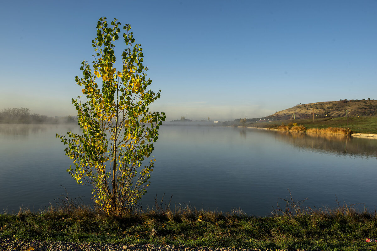 Пруд. - Сергей Воротников