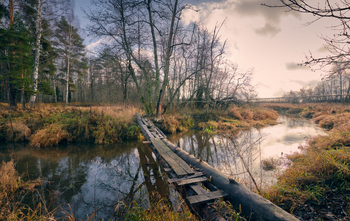 В места заповедные ... - Roman Lunin