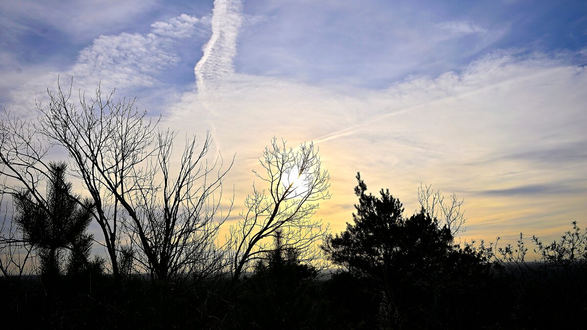 - - Владимир Мигонькин