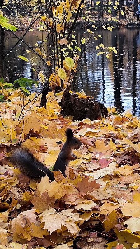 С добычей! - Ольга 