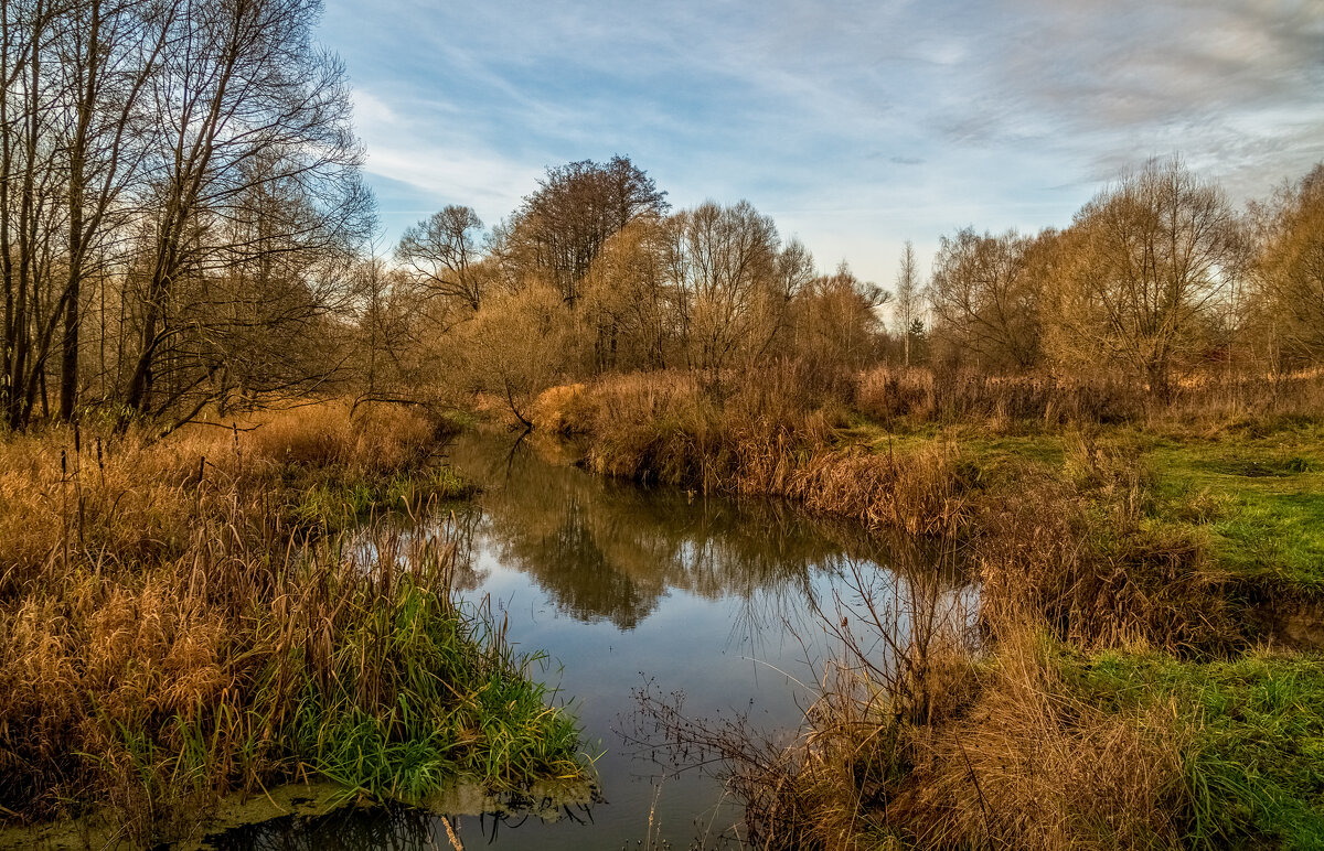 Осень не сдаётся 6 - Андрей Дворников