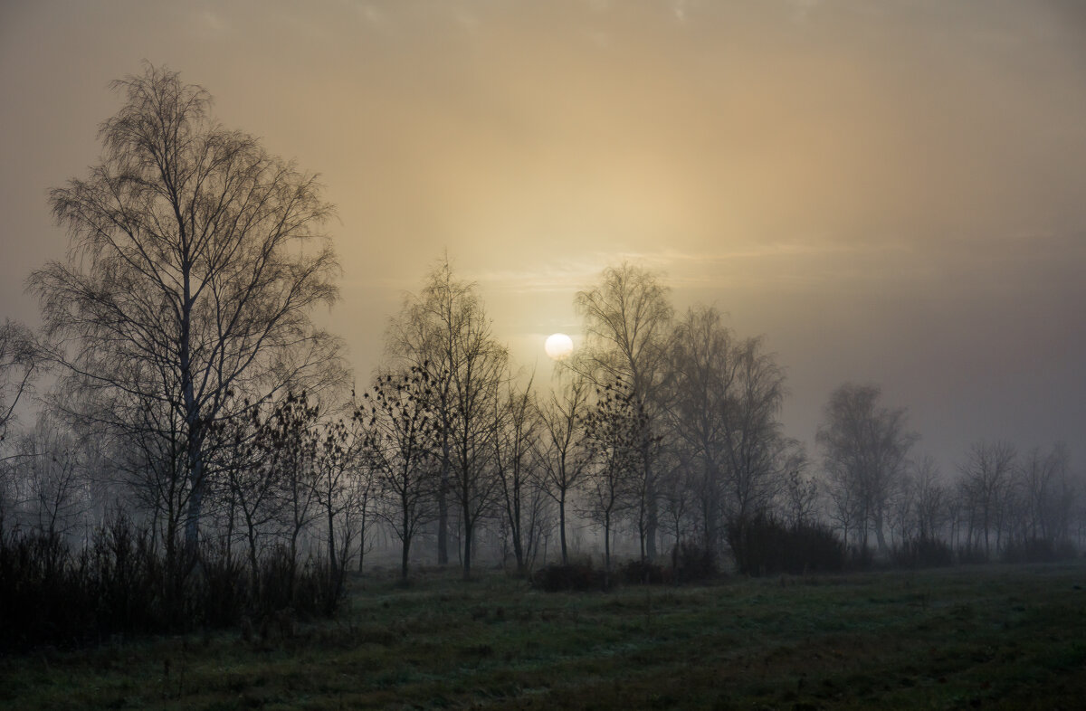 Туманный Ноябрьский рассвет... - Sergey (Apg)