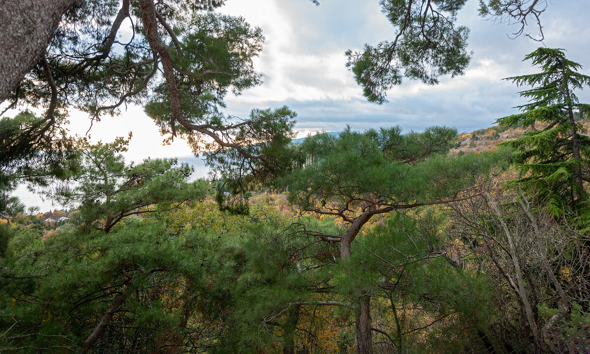 Панорама осеннего денечка!Облака плывут !И морюшко!Благодать! - Варвара Панорама осеннего денечка!Облака плывут !И морюшко!Благодать! - Варвара