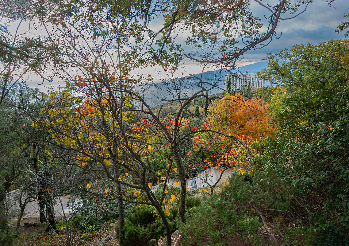 Из Никитского сада - Варвара Из Никитского сада - Варвара