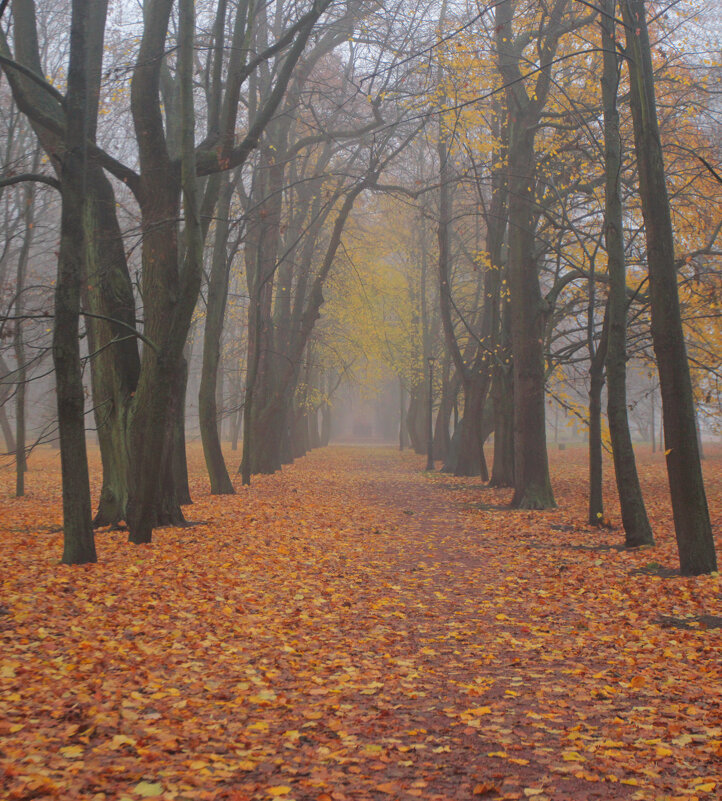*** - Сергей Григорьев