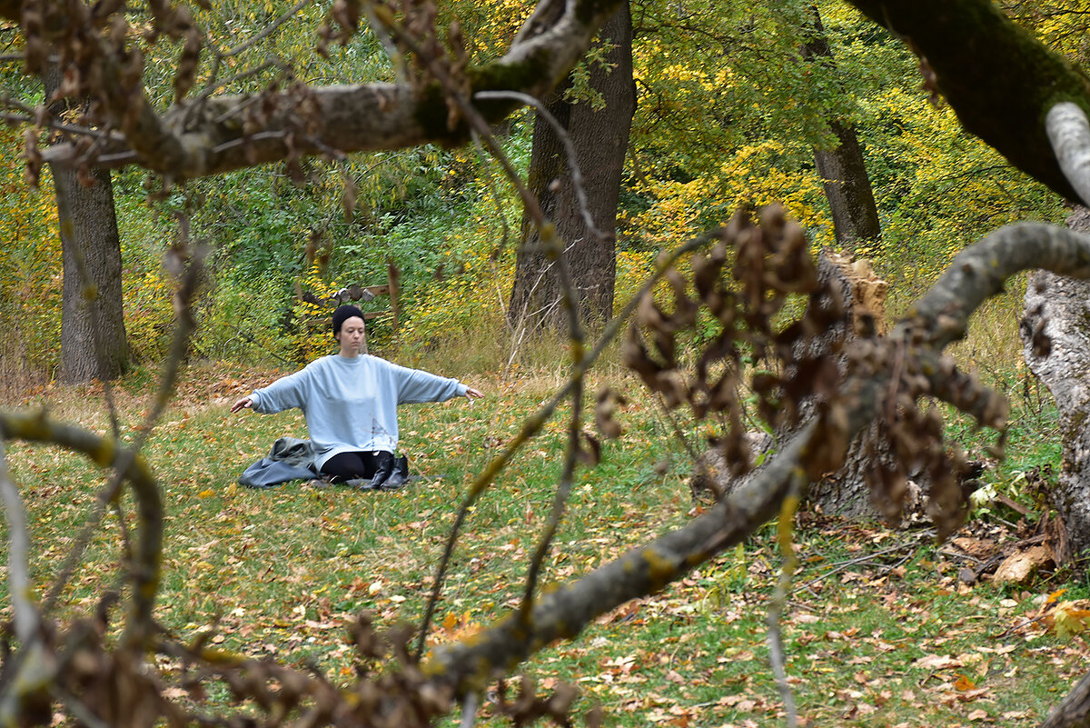 Медитация на природе - Александр Медитация на природе - Александр