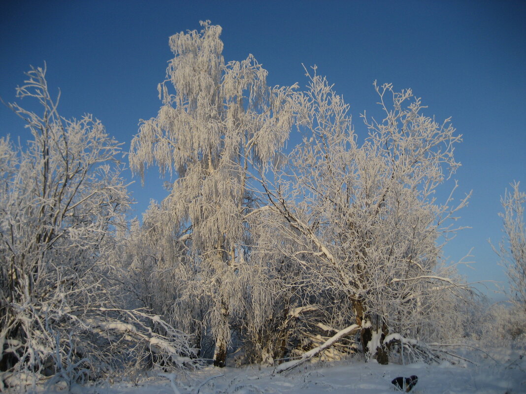 Солнечный день - Anna Ivanova Солнечный день - Anna Ivanova