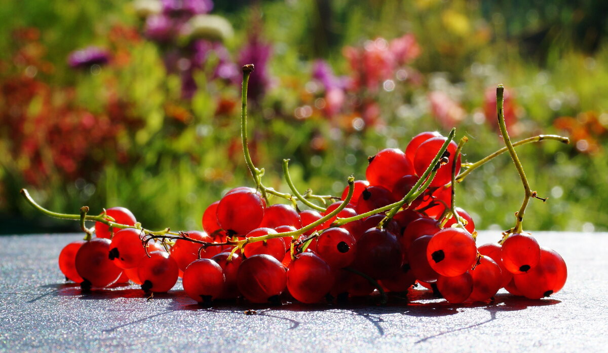 На  солнышке - Нэлли Обертынская