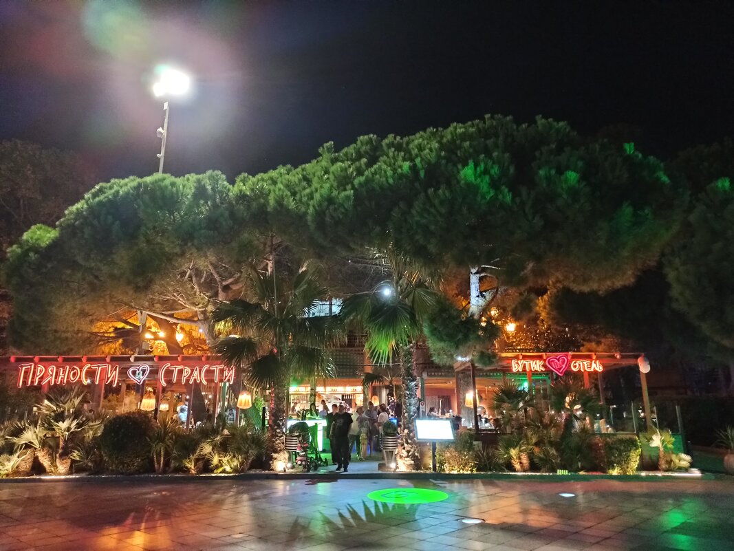 Вечерняя прогулка по Ялте. - Галина 