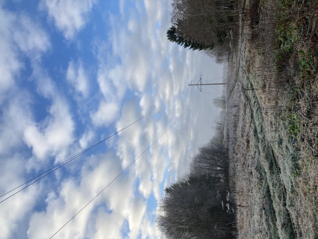 Предзимье - Ольга Савельева 