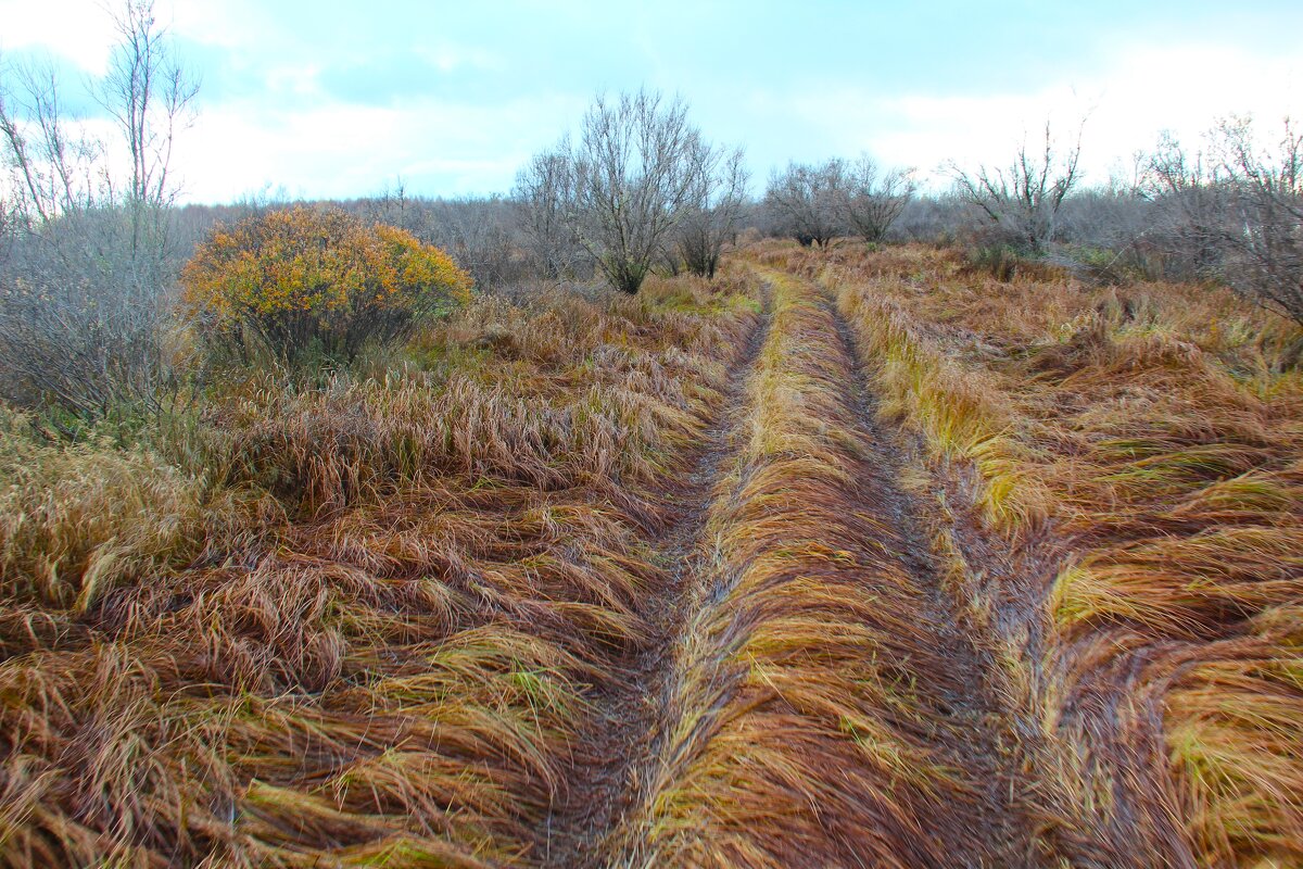 осень - Сергей Никифоров