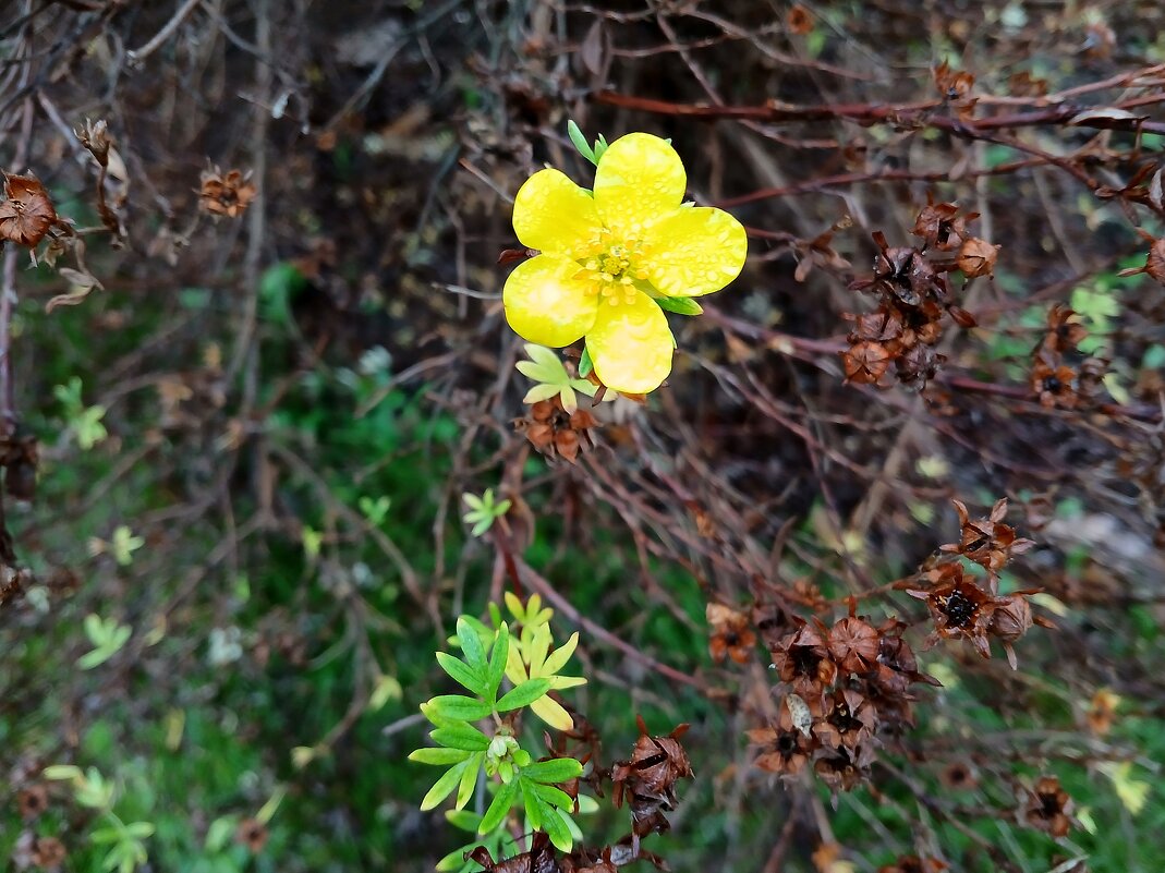 Совсем одинокий, слишком опоздал... - Лия ☼