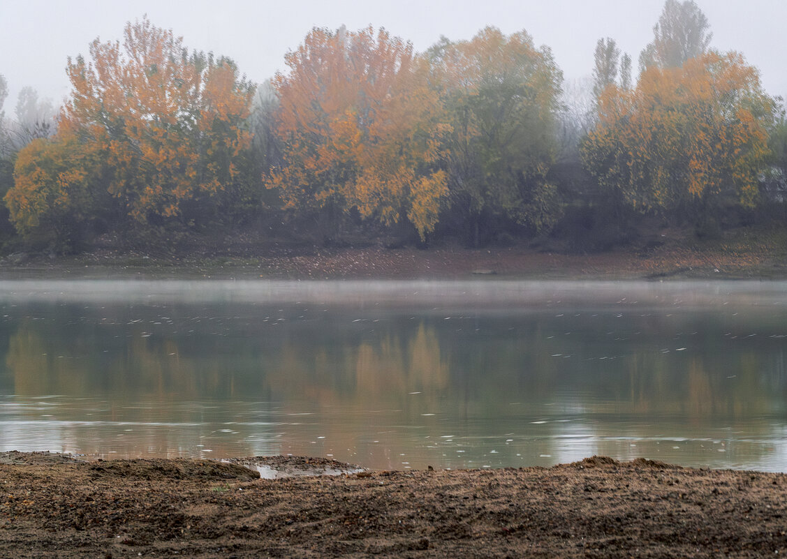 *** - Игорь Протасов