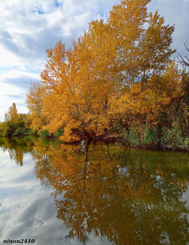 В ростовском экопарке Первая миля - Нина Бутко