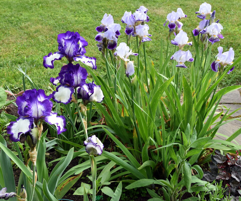 летнее - tatiana 