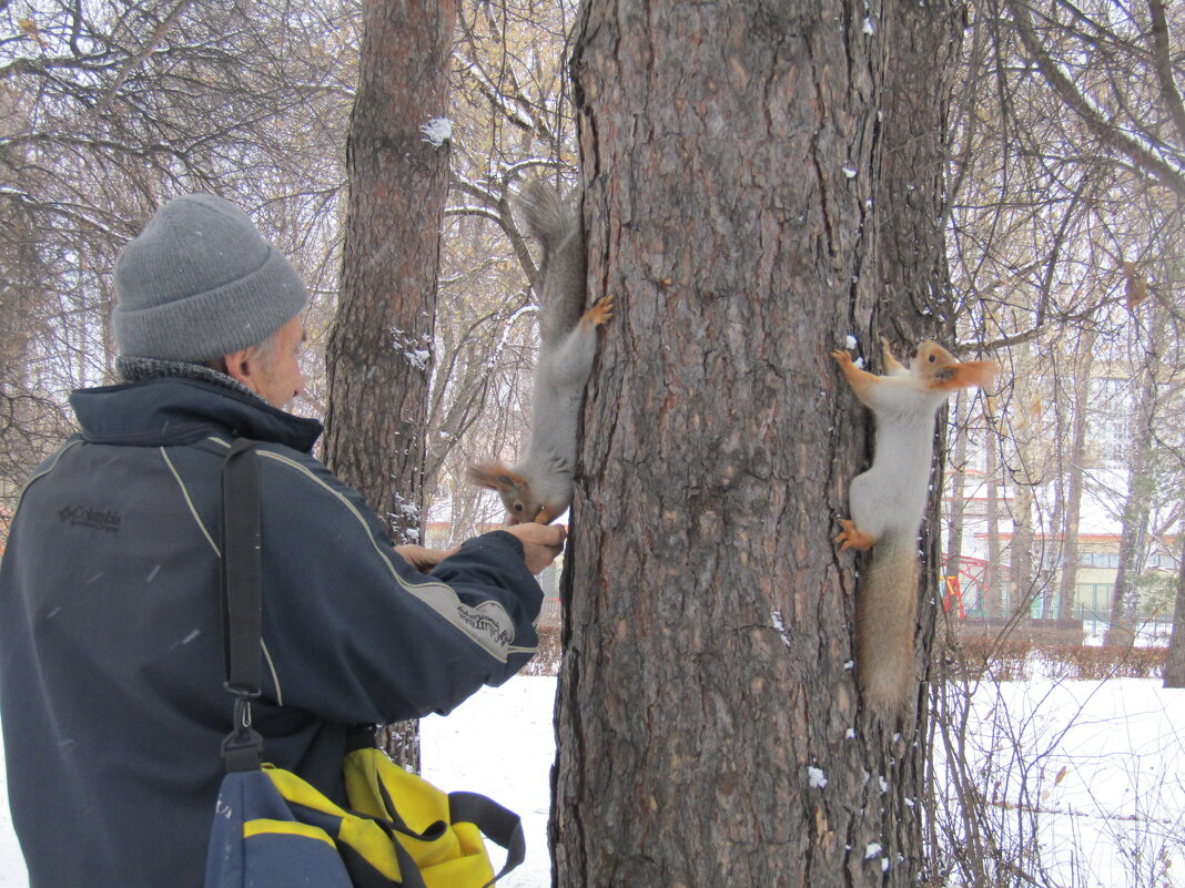 Очередь за орешками - Galaelina ***
