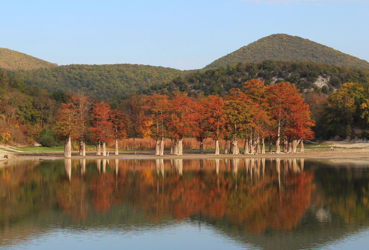 Кипарисовое озеро. - Александр 