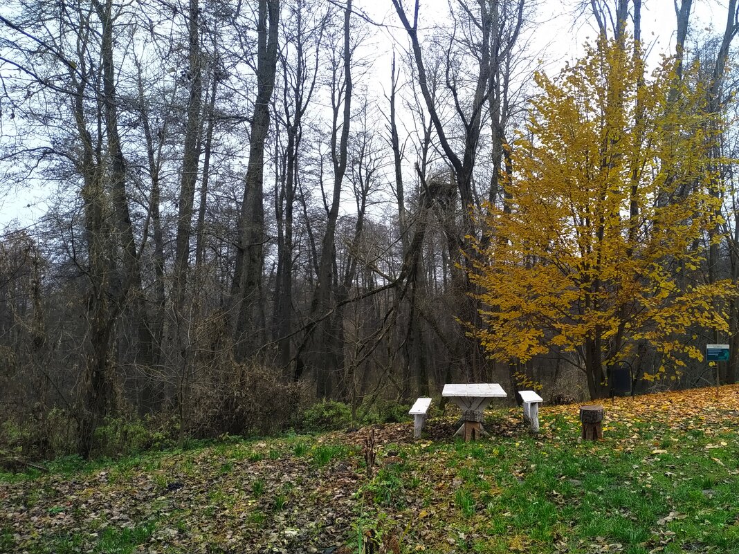 Осень... - Игорь Шевердин