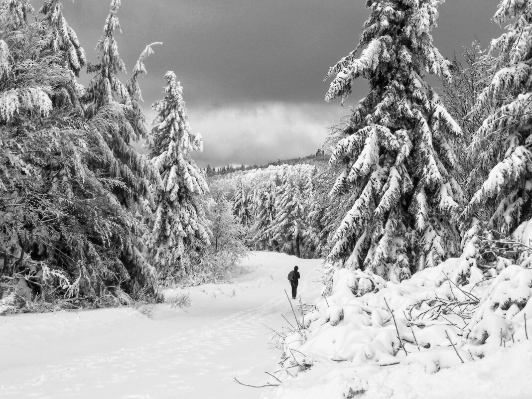 Прекрасная зима - Jiří Valiska