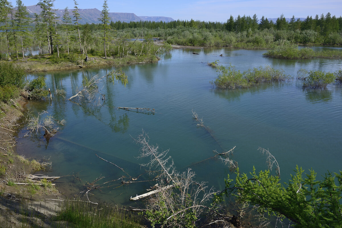 ** - Александр Хаецкий ** - Александр Хаецкий