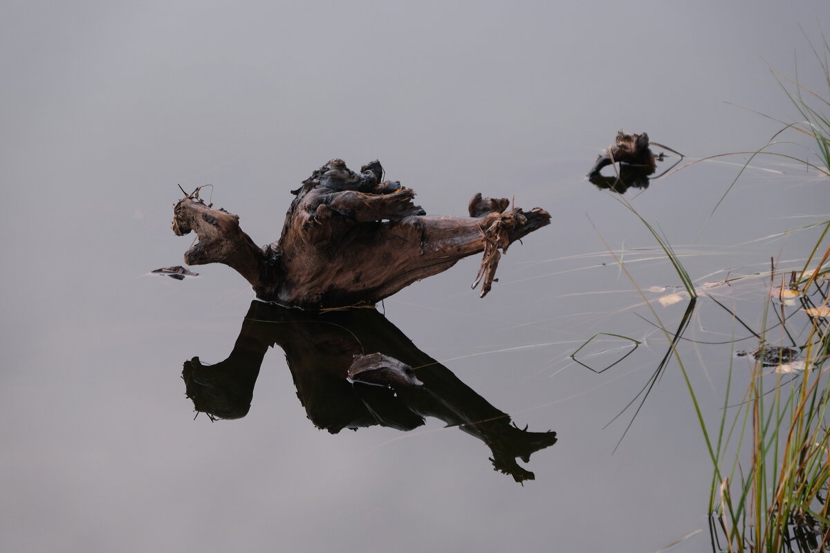 *** - Владимир В