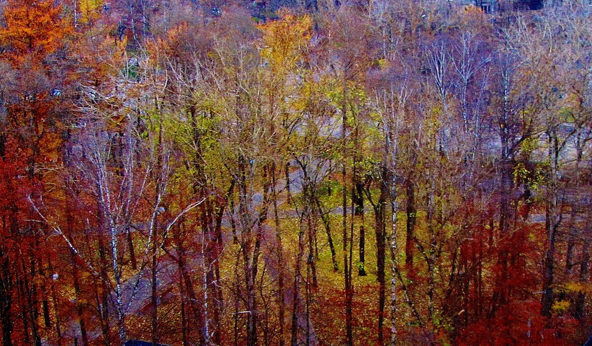 ...в фантазиях  я вижу сквер таким.. - galalog galalog