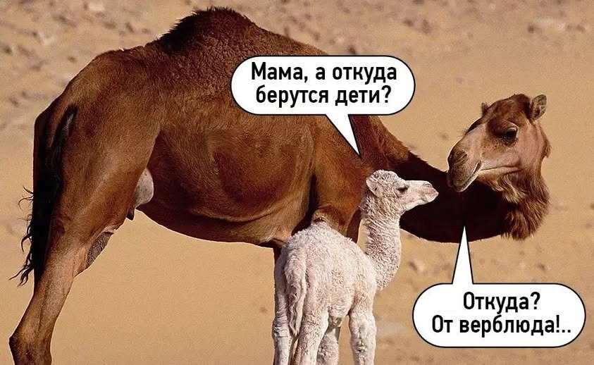 Маа-ма... :) - Валерий Кокорев