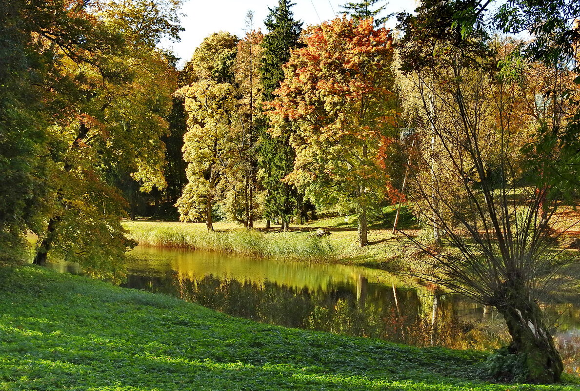 наша осень - ИННА ПОРОХОВА наша осень - ИННА ПОРОХОВА