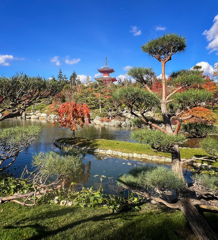 Краснодар. Японский сад в парке Галицкого - Galina Краснодар. Японский сад в парке Галицкого - Galina