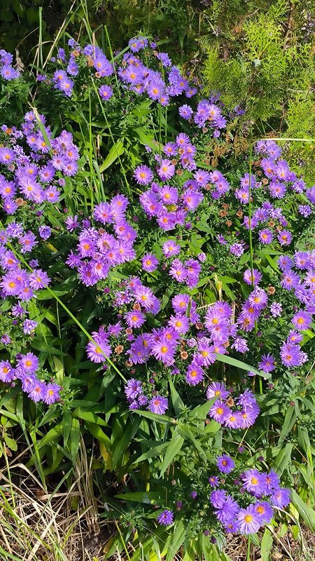 Самые стойкие! - Ольга 